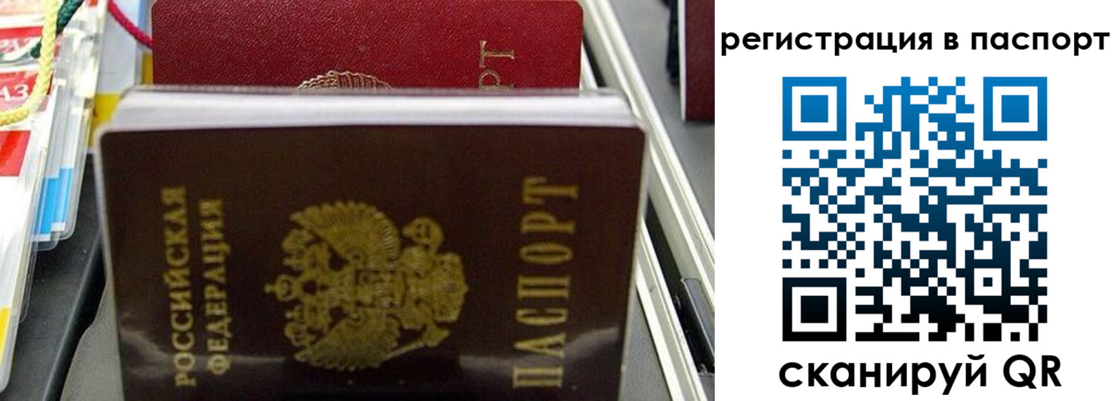 прописка для школы в Борисоглебске